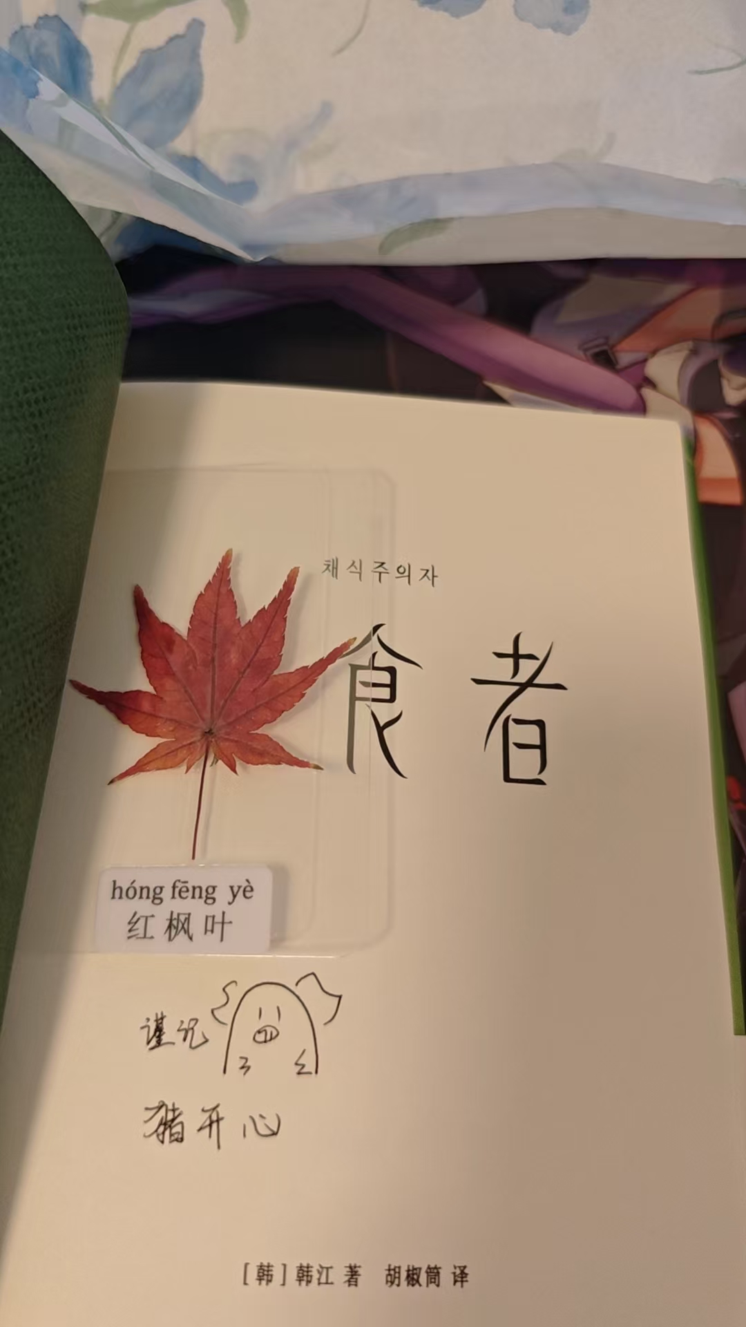 韩江《素食者》与红枫叶标本实物